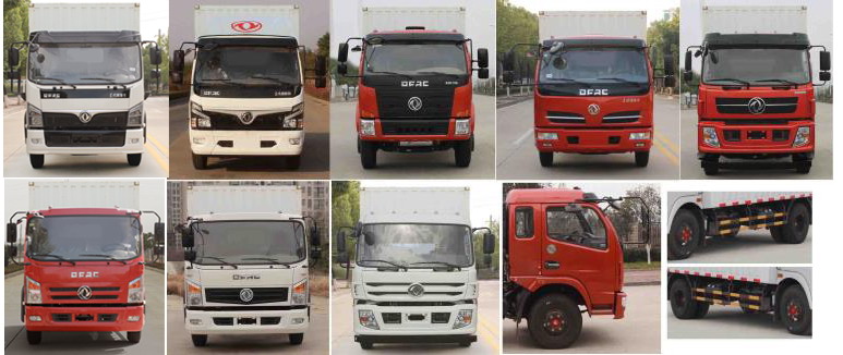 東風(fēng)牌EQ5110XXY8EDFAC廂式運(yùn)輸車公告圖片