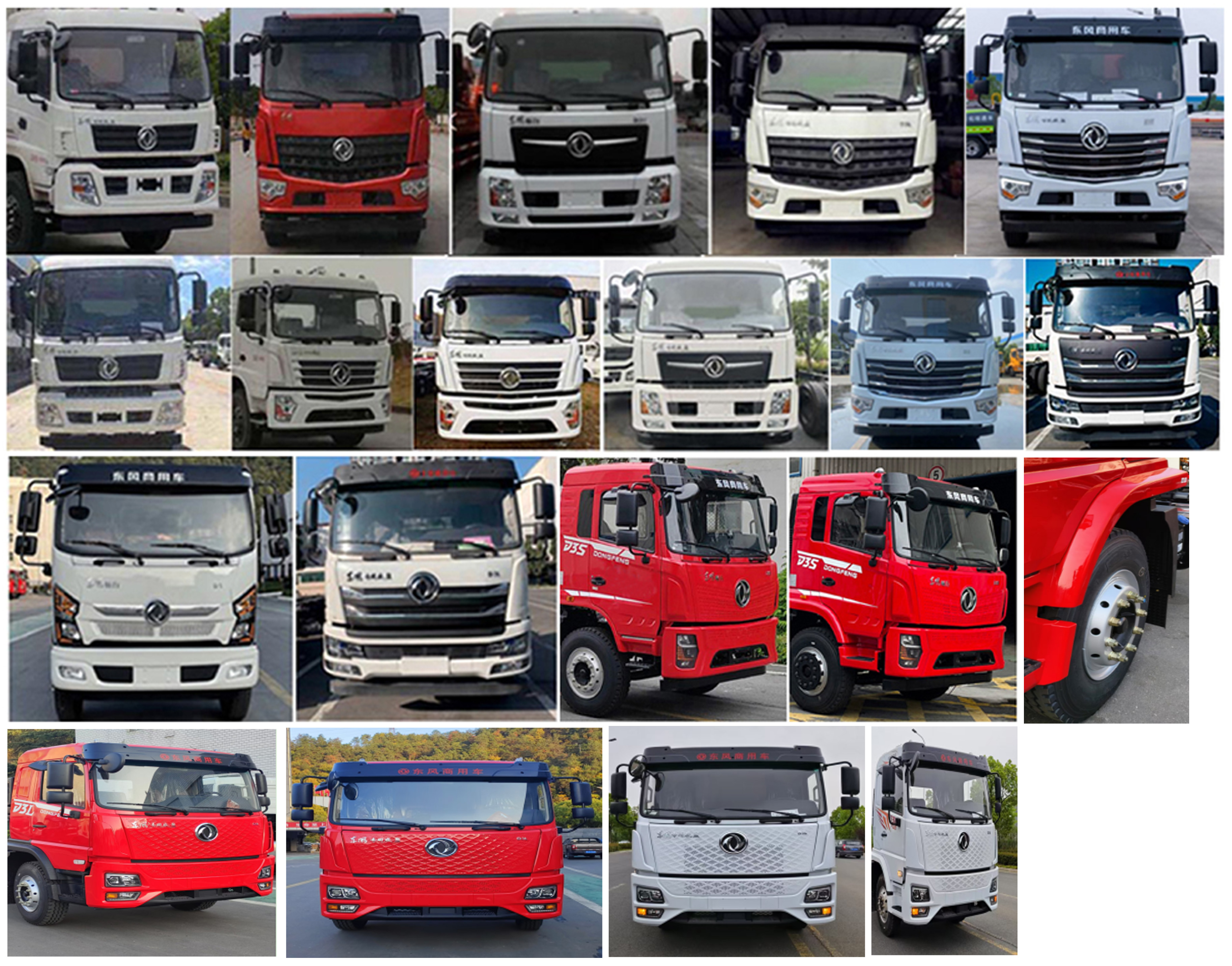 程力威牌CLW5160ZBS6CF擺臂式垃圾車公告圖片