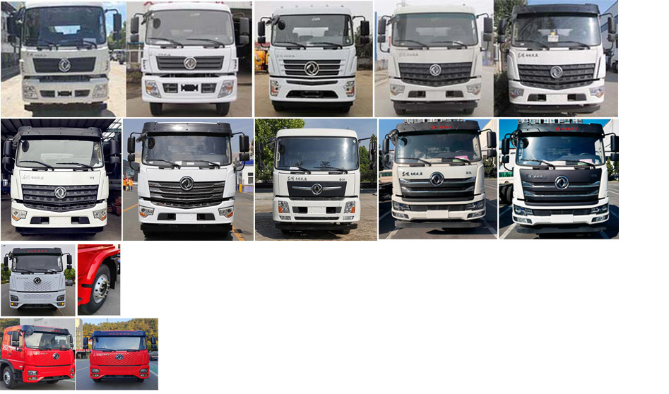 程力威牌CLW5250TDY6CD多功能抑塵車公告圖片