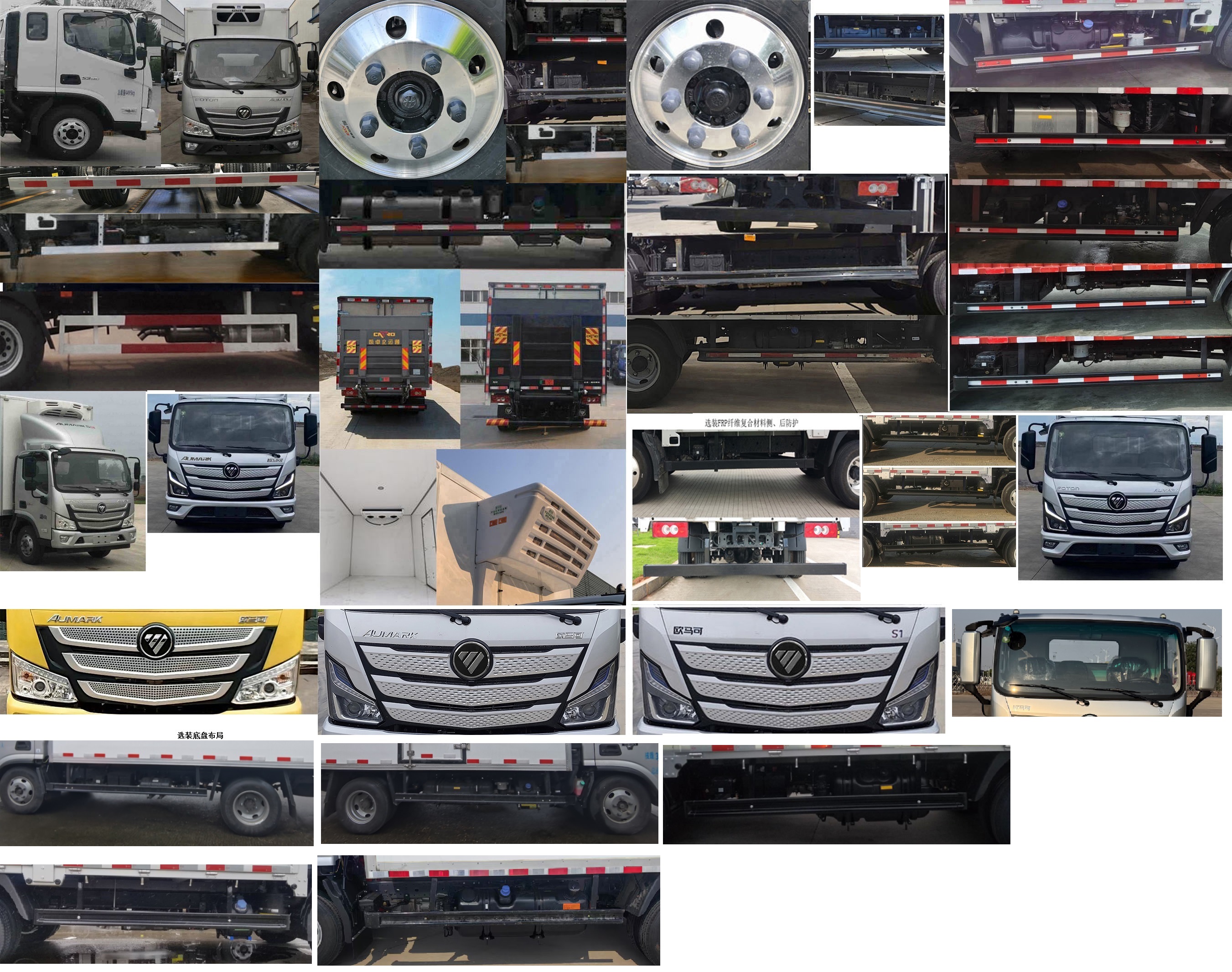 福田牌BJ5048XLC-FM3冷藏車公告圖片