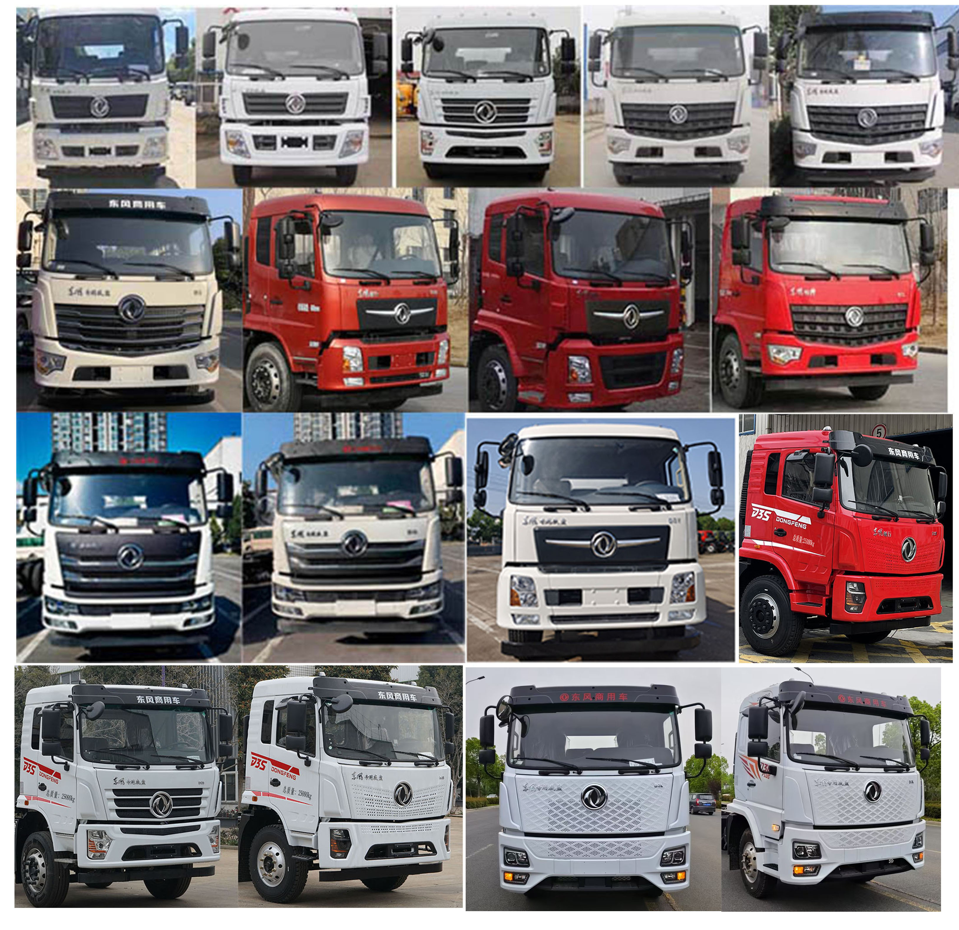 潤(rùn)知星牌SCS5250GSYDFV6食用油運(yùn)輸車公告圖片