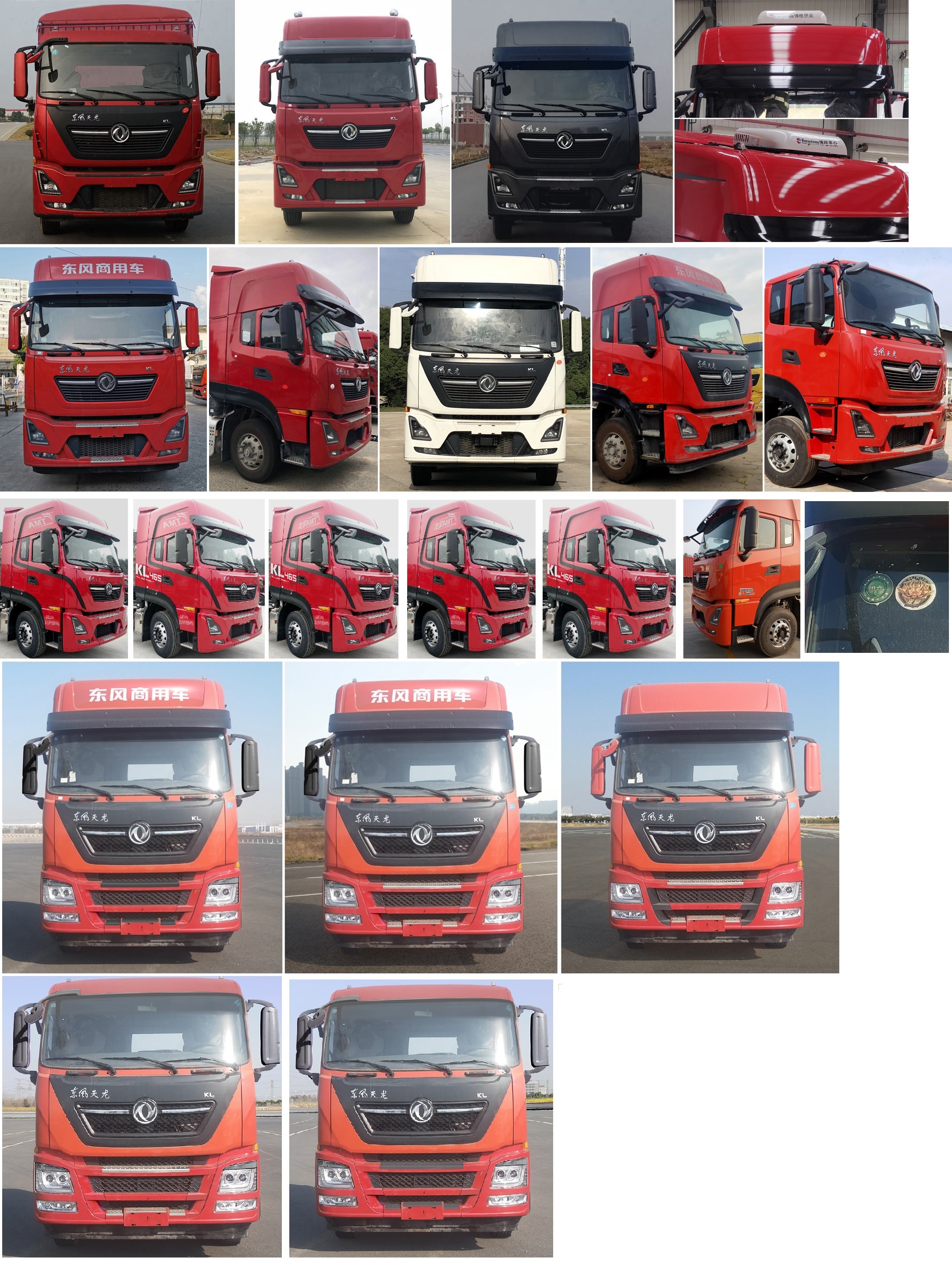 東風牌DFH5310CCYD9倉柵式運輸車公告圖片