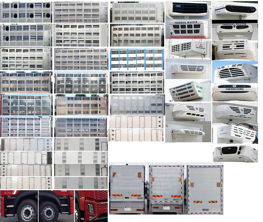 東風(fēng)牌DFV5317CCQGP6D2畜禽運(yùn)輸車(chē)公告圖片