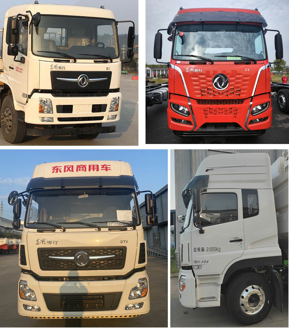 神鷹牌YG5311ZSLDFV6散裝飼料運輸車公告圖片