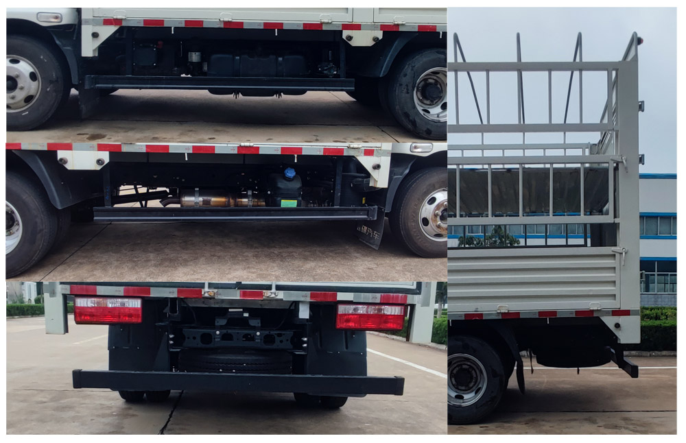 飛碟牌FD5042CCYW63K6-2倉柵式運輸車公告圖片