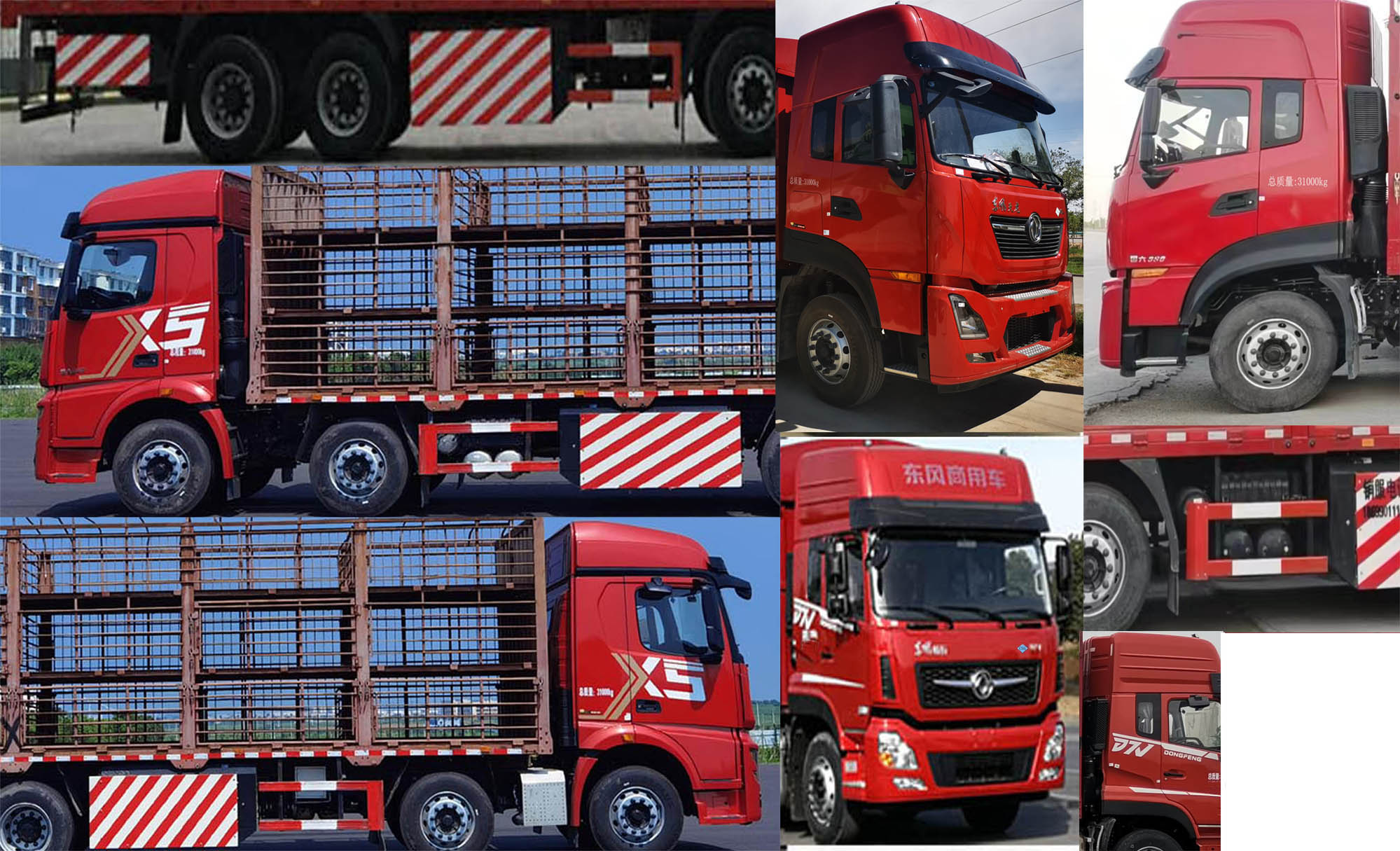 東風(fēng)牌DFV5318CCQGP6C畜禽運(yùn)輸車公告圖片