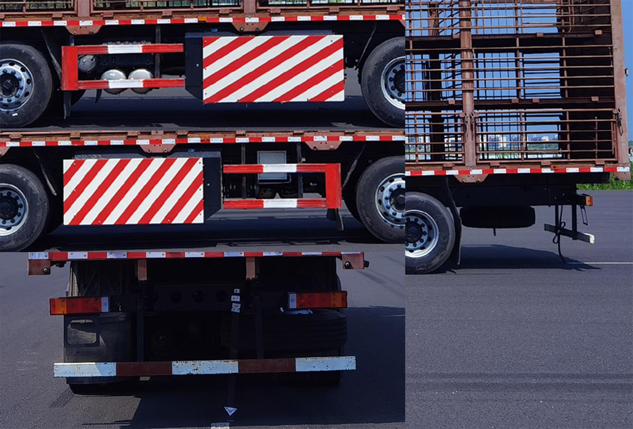 東風(fēng)牌DFV5318CCQGP6C畜禽運(yùn)輸車公告圖片