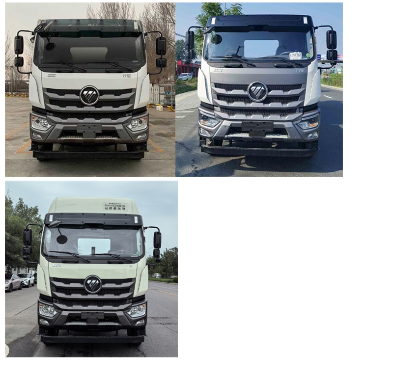 高賽華運牌CGS5310ZSLFT散裝飼料運輸車公告圖片