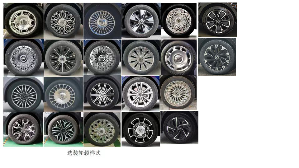 創(chuàng)穗牌QCS5032XSW商務(wù)車公告圖片