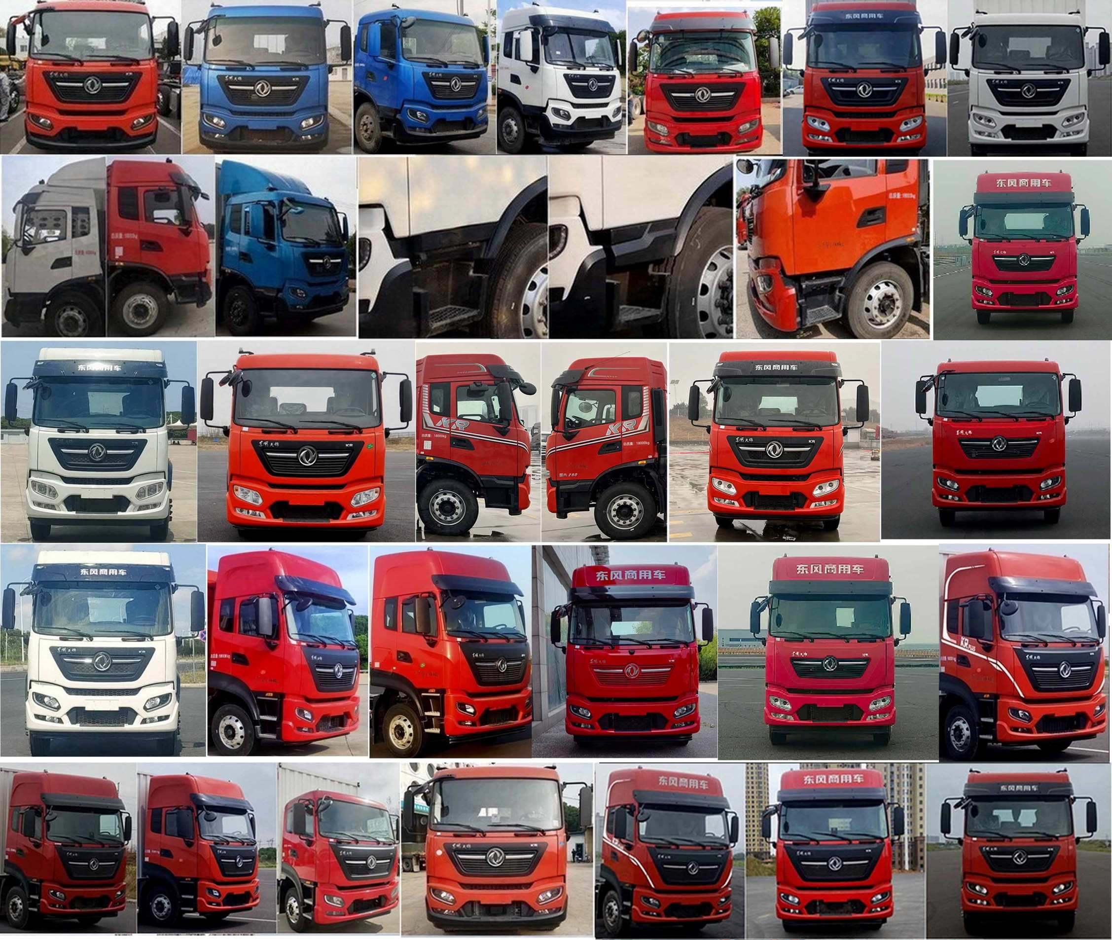 凱瑞華牌KRH5181XCQD6雛禽運(yùn)輸車公告圖片