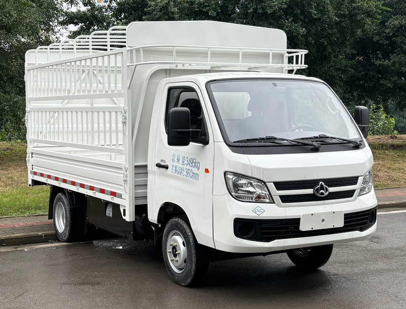 CKS5032CCYD3BD6B1NG型倉柵式運輸車圖片