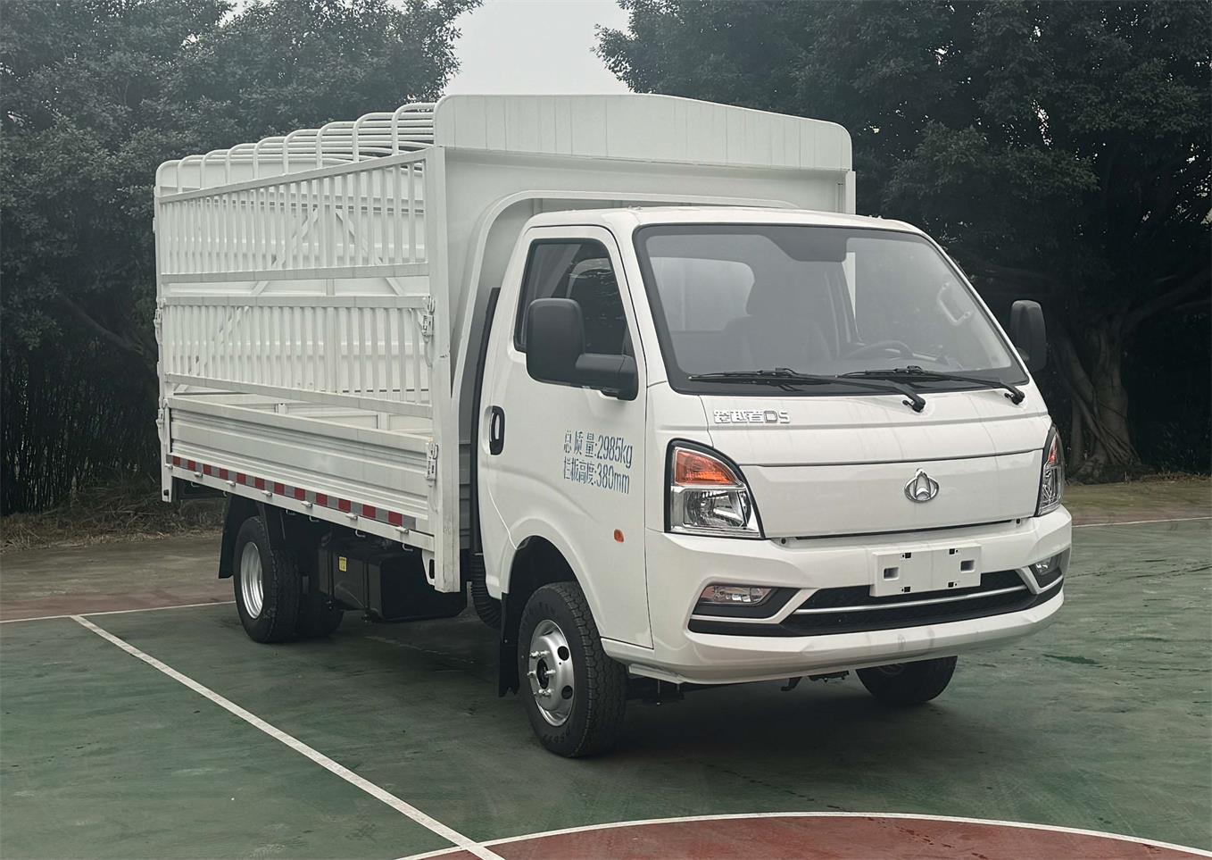 CKS5032CCYD5FD6B3型倉柵式運輸車圖片