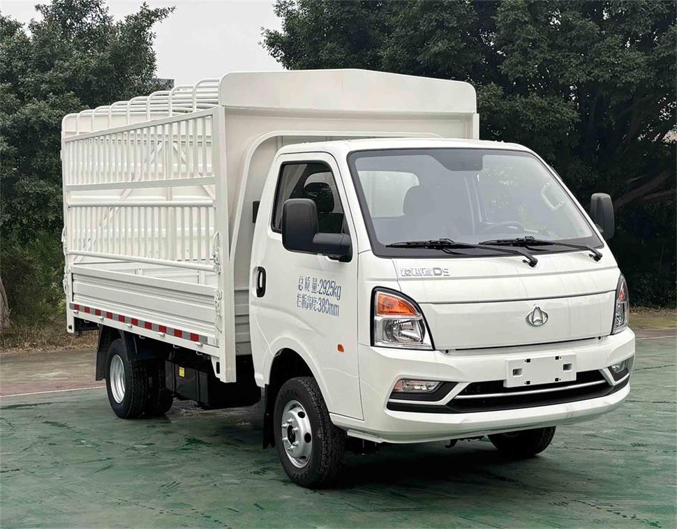 CKS5032CCYD5DD6B3型倉柵式運輸車圖片