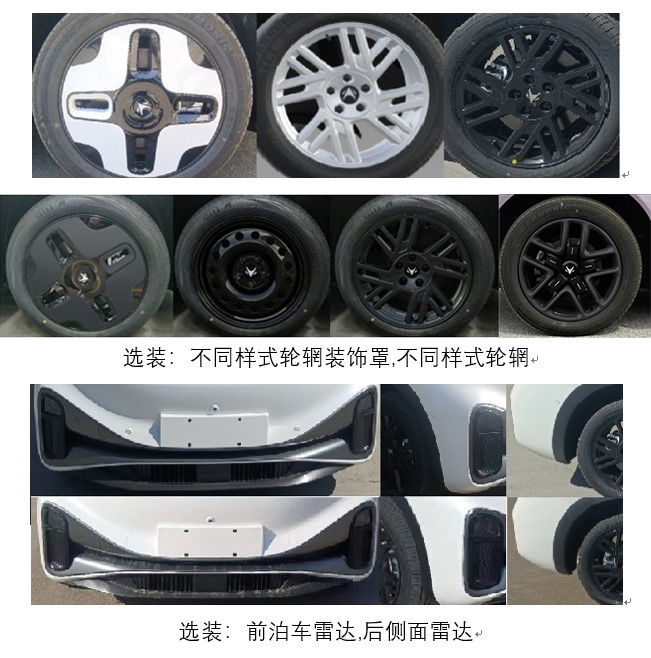 極狐牌BJ5020XFZD46BEV純電動福祉車公告圖片