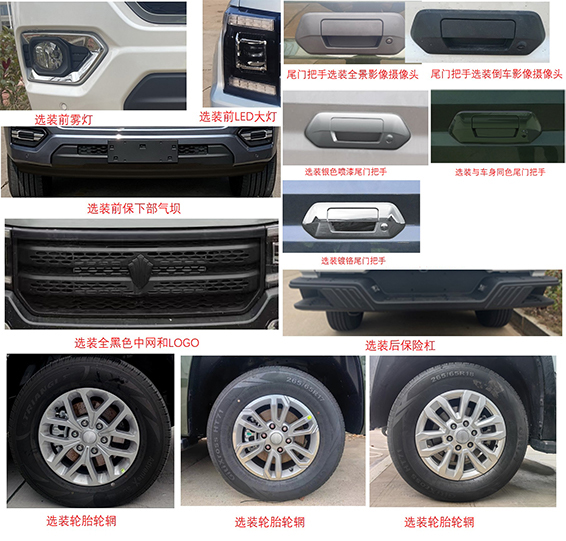 凌揚牌LYP5030TSY宿營車公告圖片