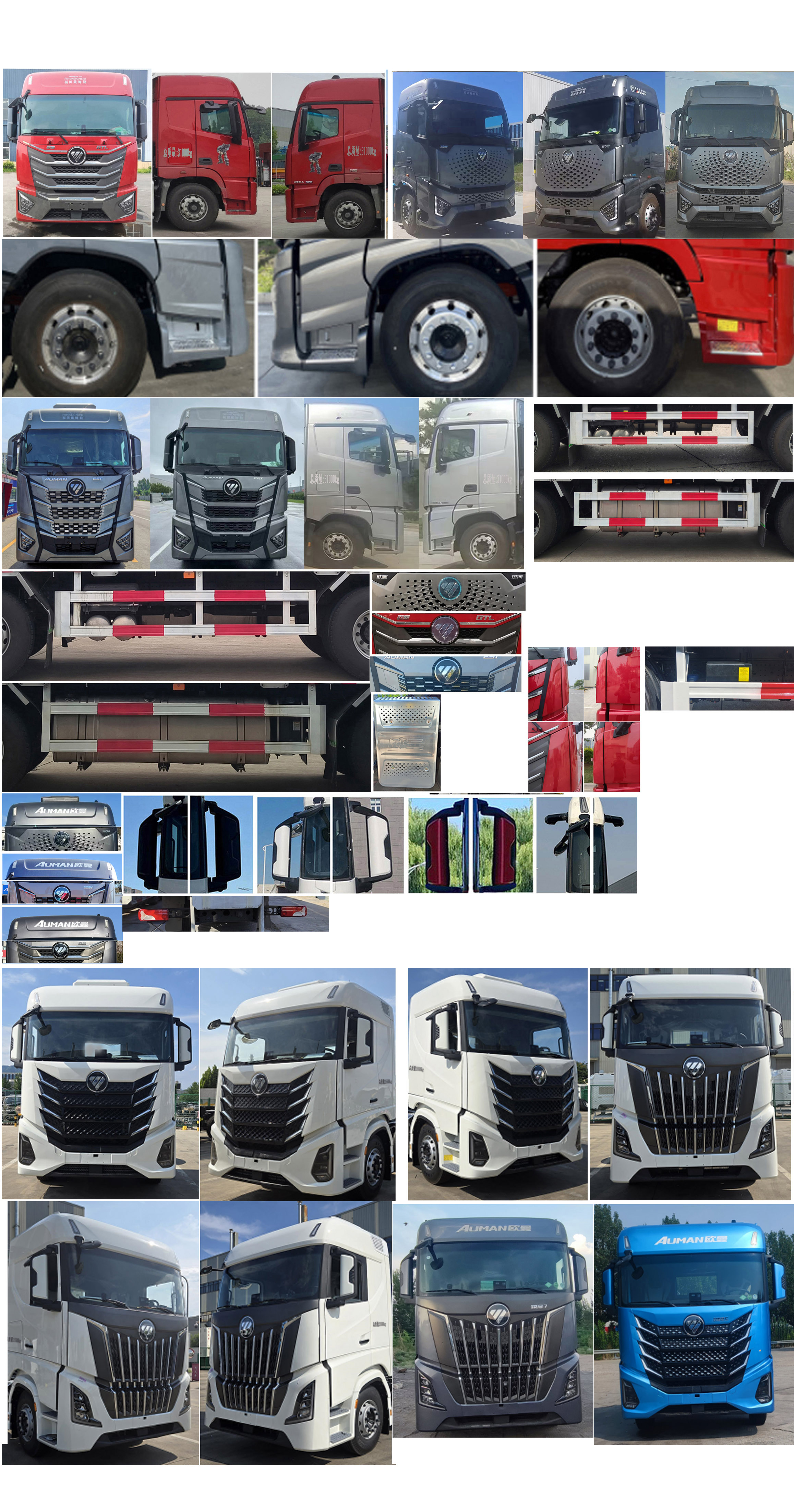 歐曼牌BJ5319XCQY6GAM-01雛禽運(yùn)輸車公告圖片