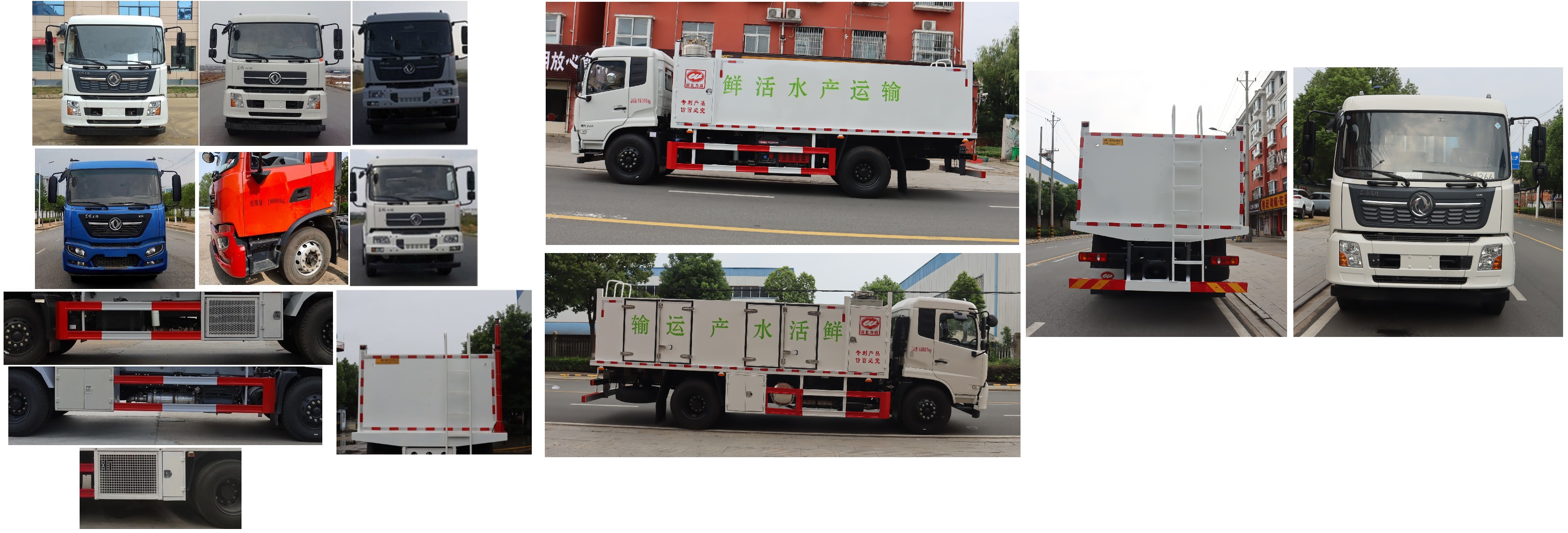 中汽力威牌HLW5180TSC6DF鮮活水產(chǎn)品運輸車公告圖片