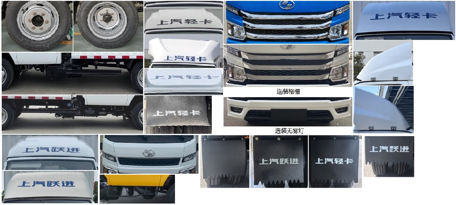 躍進牌SH5043XXYPFDCNS1廂式運輸車公告圖片