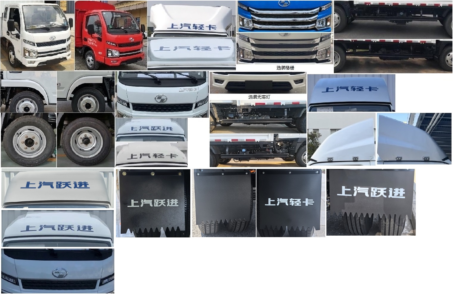 躍進(jìn)牌SH5043CCYPEDBNZ2倉柵式運(yùn)輸車公告圖片