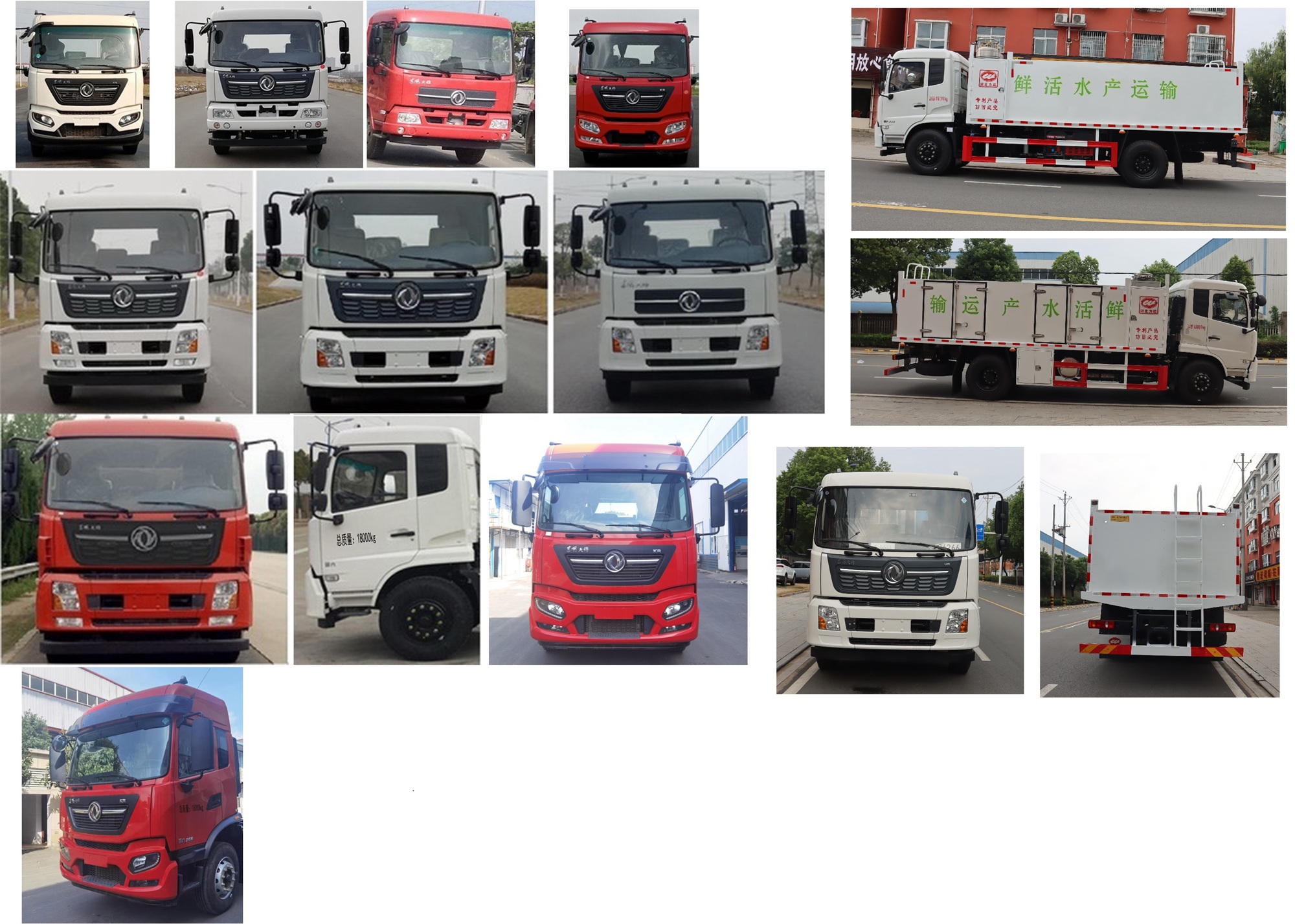鮮活水產(chǎn)品運輸車圖片