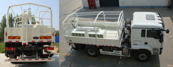 地震排列沙漠車圖片