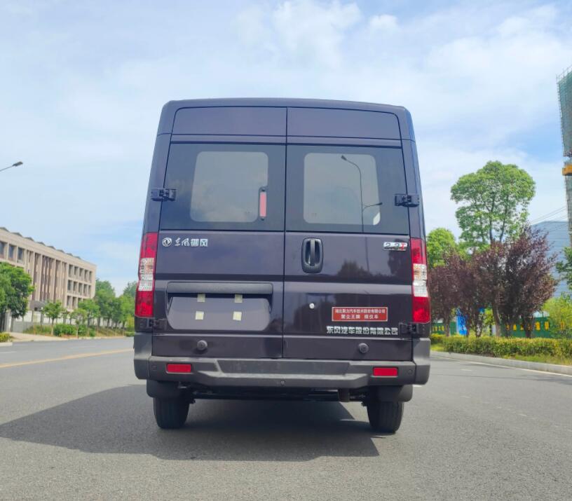 聚塵王牌HNY5048XBYESD6殯儀車公告圖片