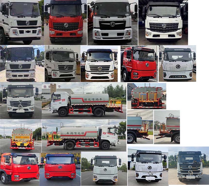 瑞力星牌RLQ5165GPSD6綠化噴灑車公告圖片