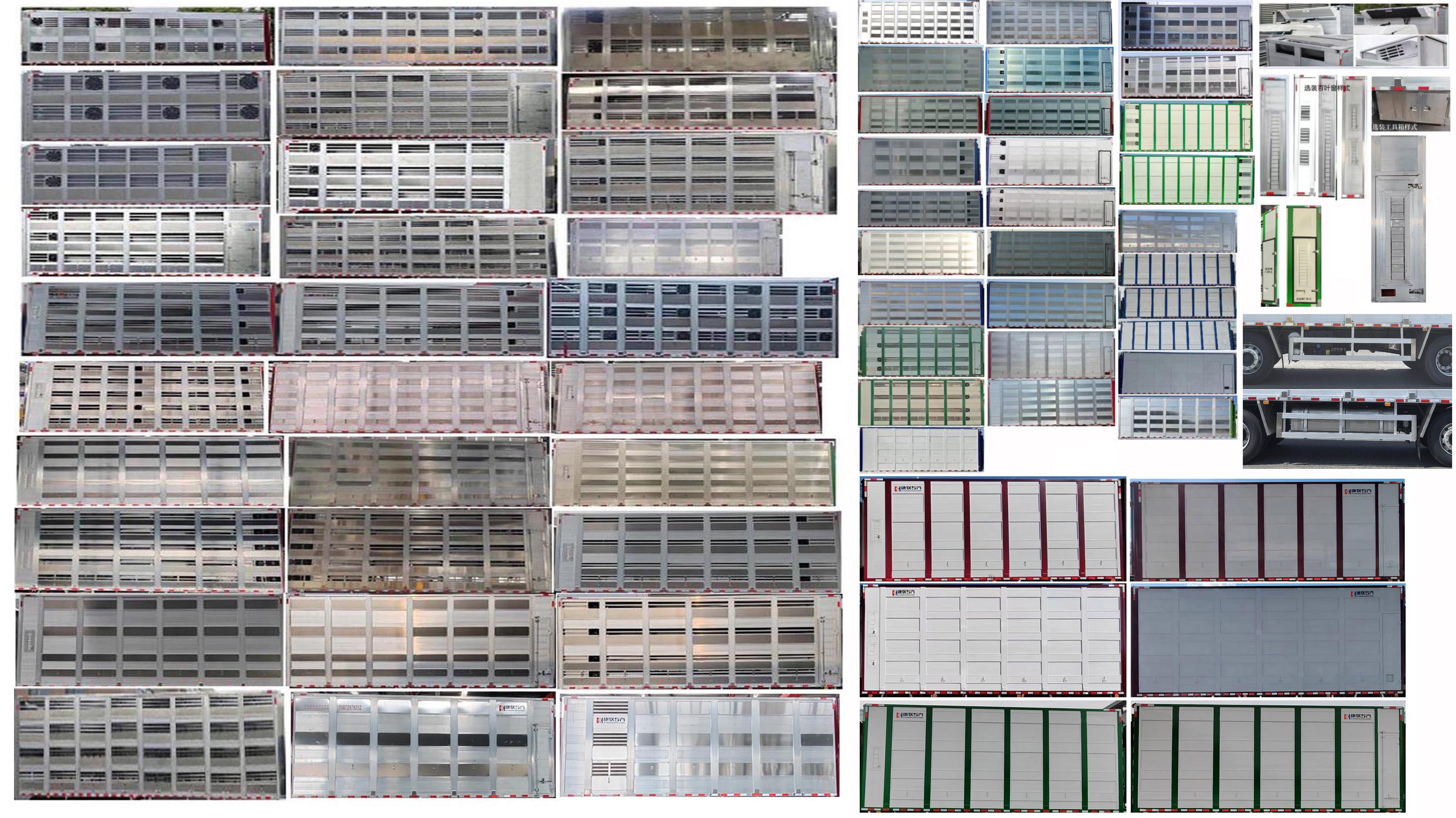 雛禽運(yùn)輸車圖片