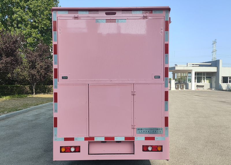 唐駿牌STZ5031XSHZZ售貨車公告圖片