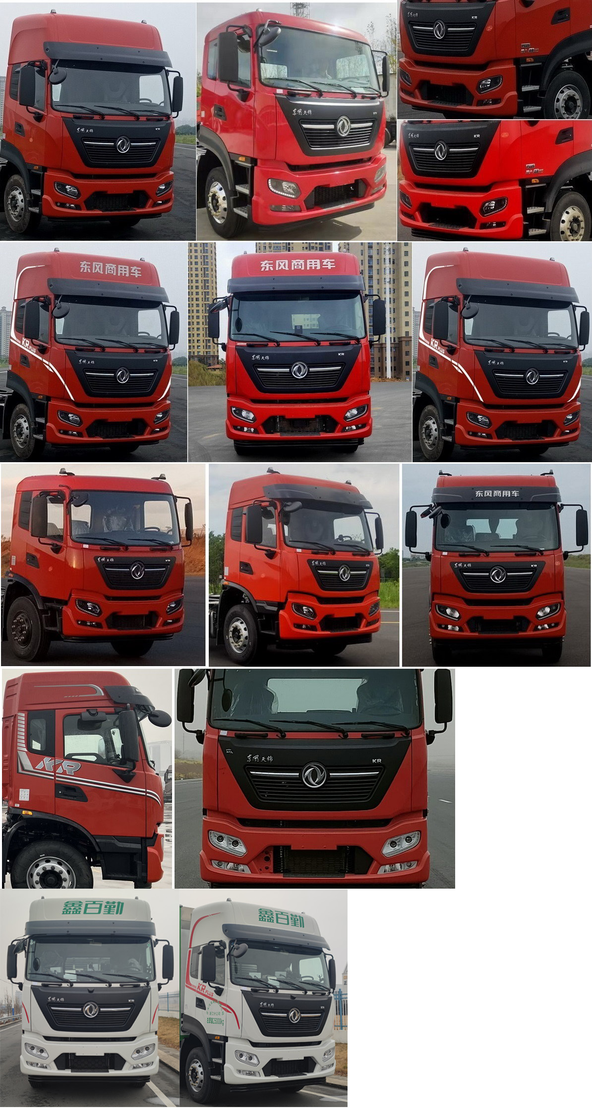 百勤牌XBQ5250XCQZ81DL雛禽運(yùn)輸車公告圖片