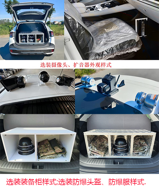 凌揚牌LYP5029TXUHEV混合動力巡邏車公告圖片