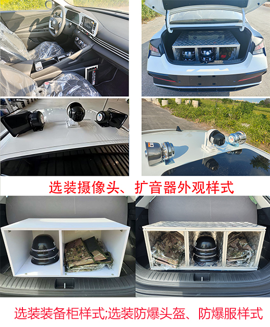 凌揚牌LYP5028TXU巡邏車公告圖片