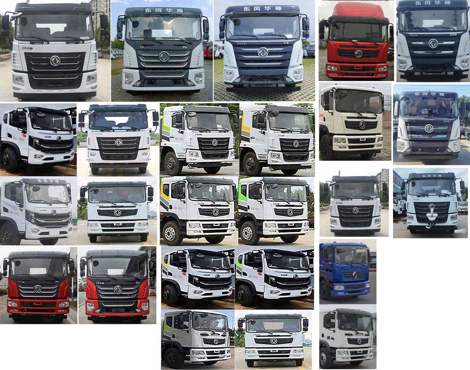 程力威牌CLW5183GPSCDP綠化噴灑車公告圖片