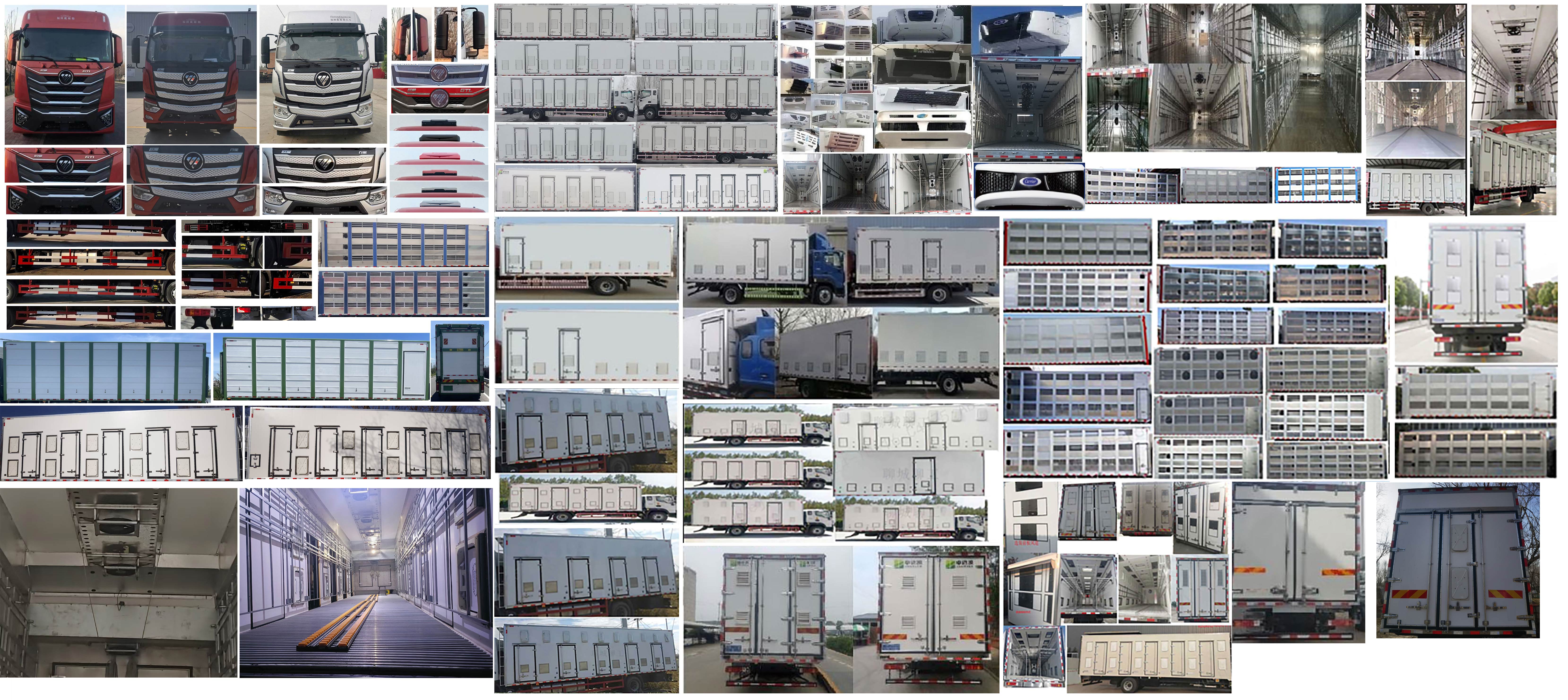 歐曼牌BJ5181XCQY6AAM-01雛禽運(yùn)輸車公告圖片