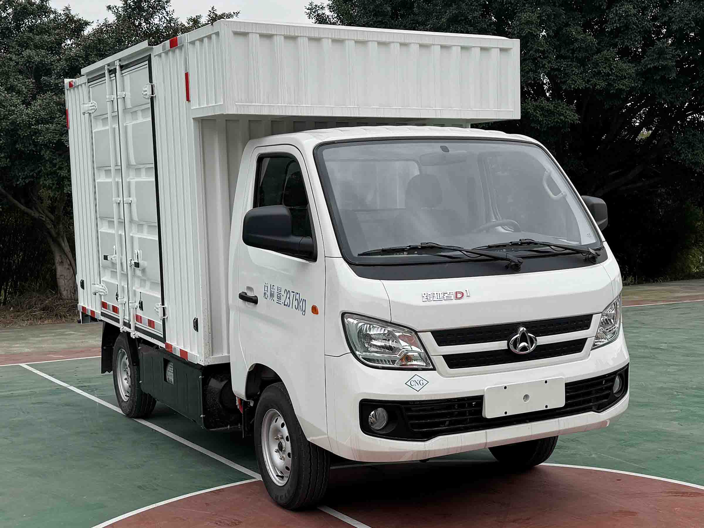 CKS5021XXYD3BD6B1NG型廂式貨車圖片