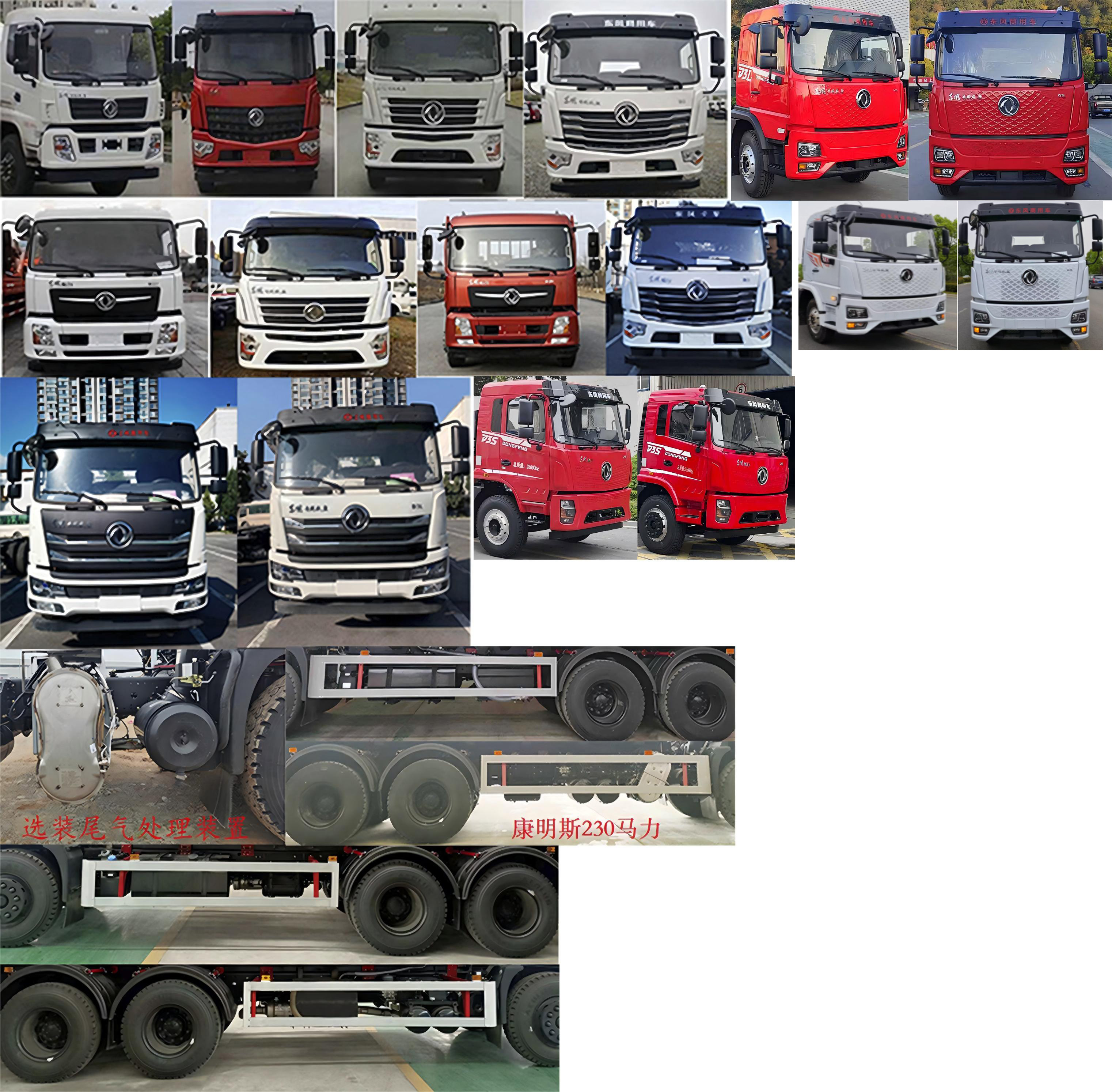 斯太隆牌HZH5253ZYSD6LH壓縮式垃圾車公告圖片