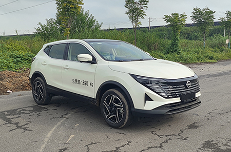 凌揚牌LYP5020XGJ6工具車