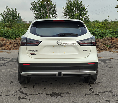 凌揚牌LYP5020XGJ6工具車公告圖片