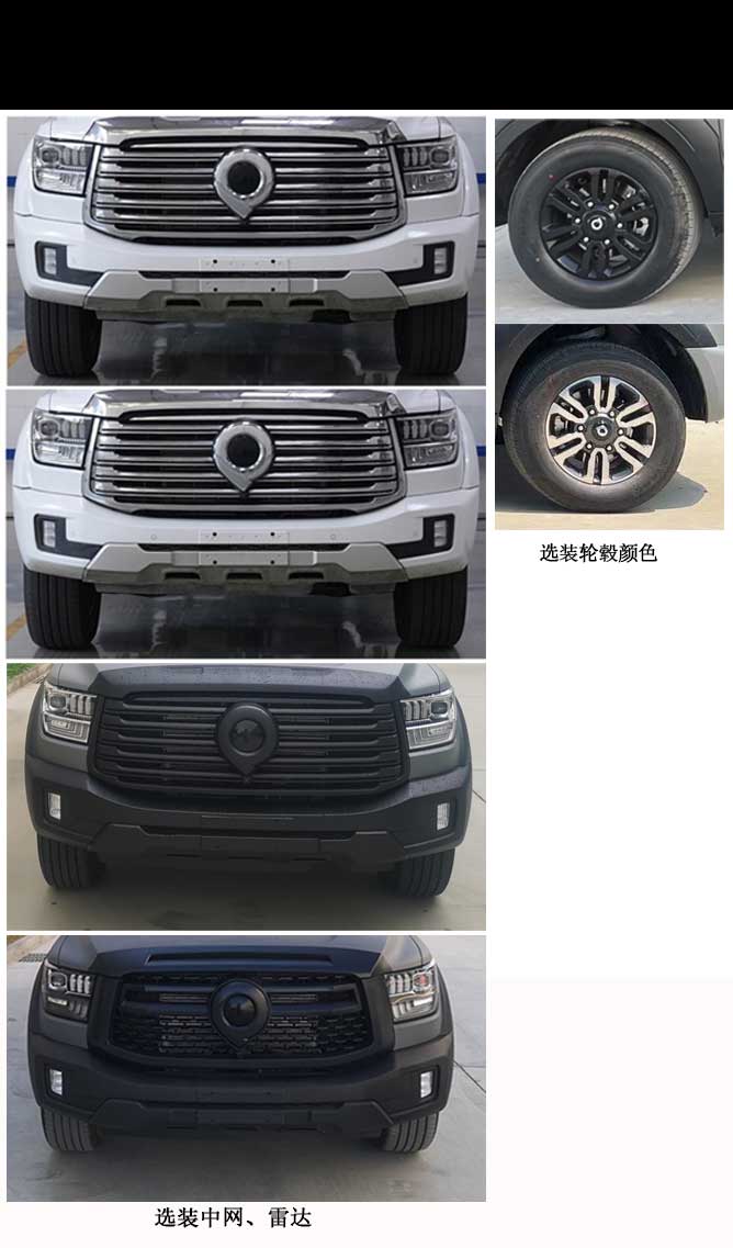 覽眾之星牌LZR5041XLJCCE60旅居車公告圖片