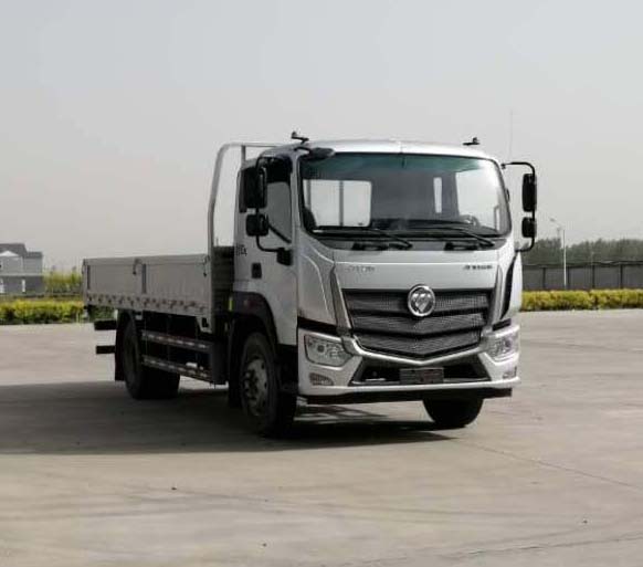 福田牌BJ1186VLPFK-6M载货汽车公告图片