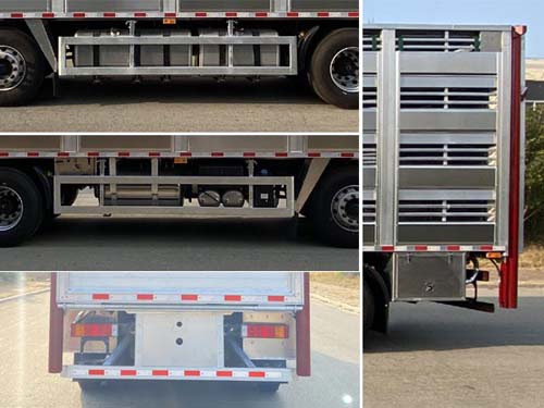 高賽華運牌CGS5311CCQ畜禽運輸車公告圖片