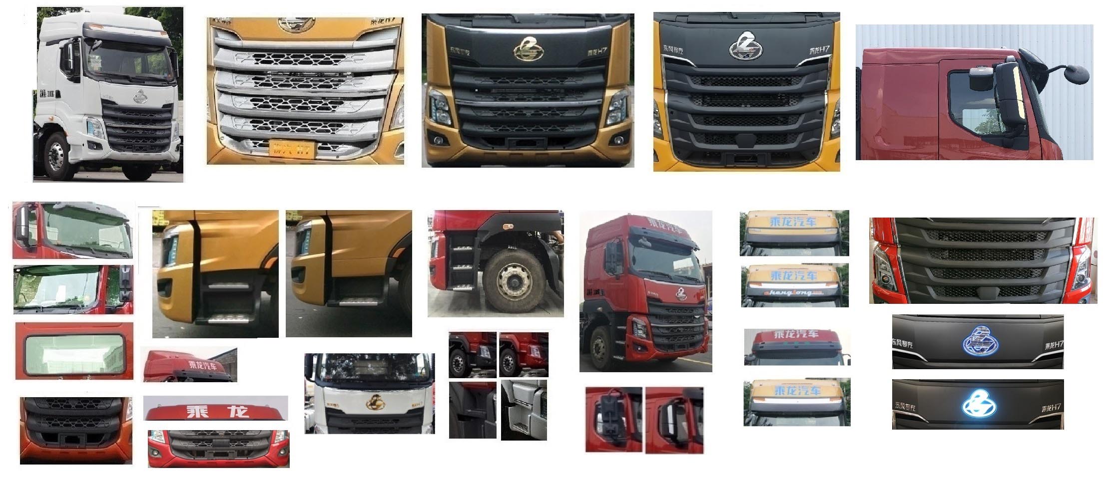 運力牌LG5310ZSLC6散裝飼料運輸車公告圖片