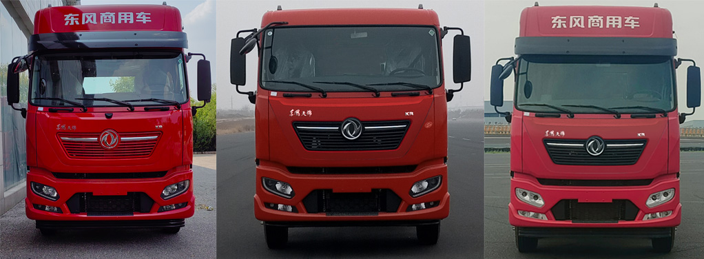 龍牧雙星牌LMX5180XCQDF6雛禽運輸車公告圖片