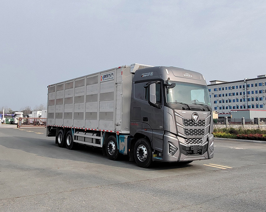康牧晨遠(yuǎn)牌KMH5310XCQBJ6雛禽運(yùn)輸車