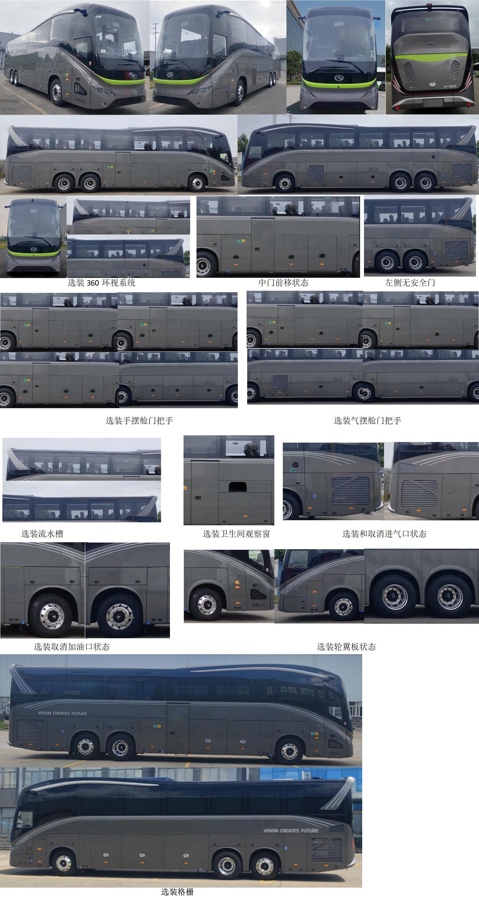 金龍牌XMQ5202XSWD商務(wù)車公告圖片