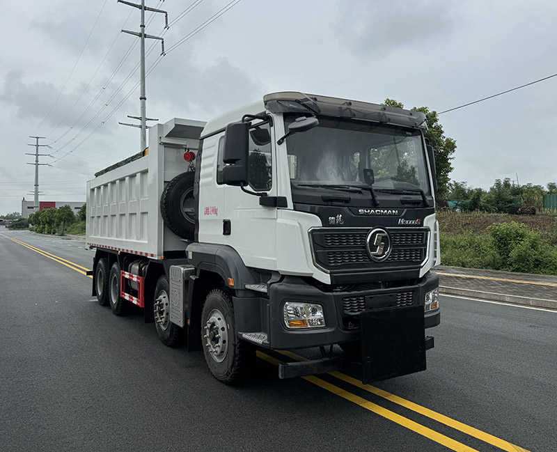 龍力馳牌HHZ5310TCXSX6除雪車
