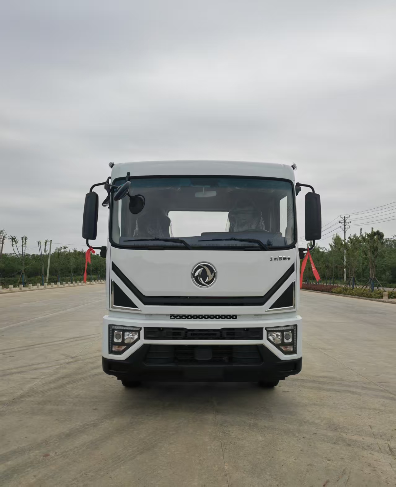 東風(fēng)股份多利卡D9 SZD5165GSS6灑水車公告圖片