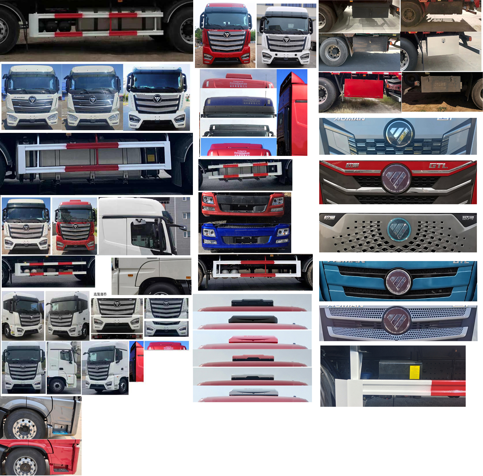 歐曼牌BJ5319XCQY6GRL-01雛禽運(yùn)輸車公告圖片