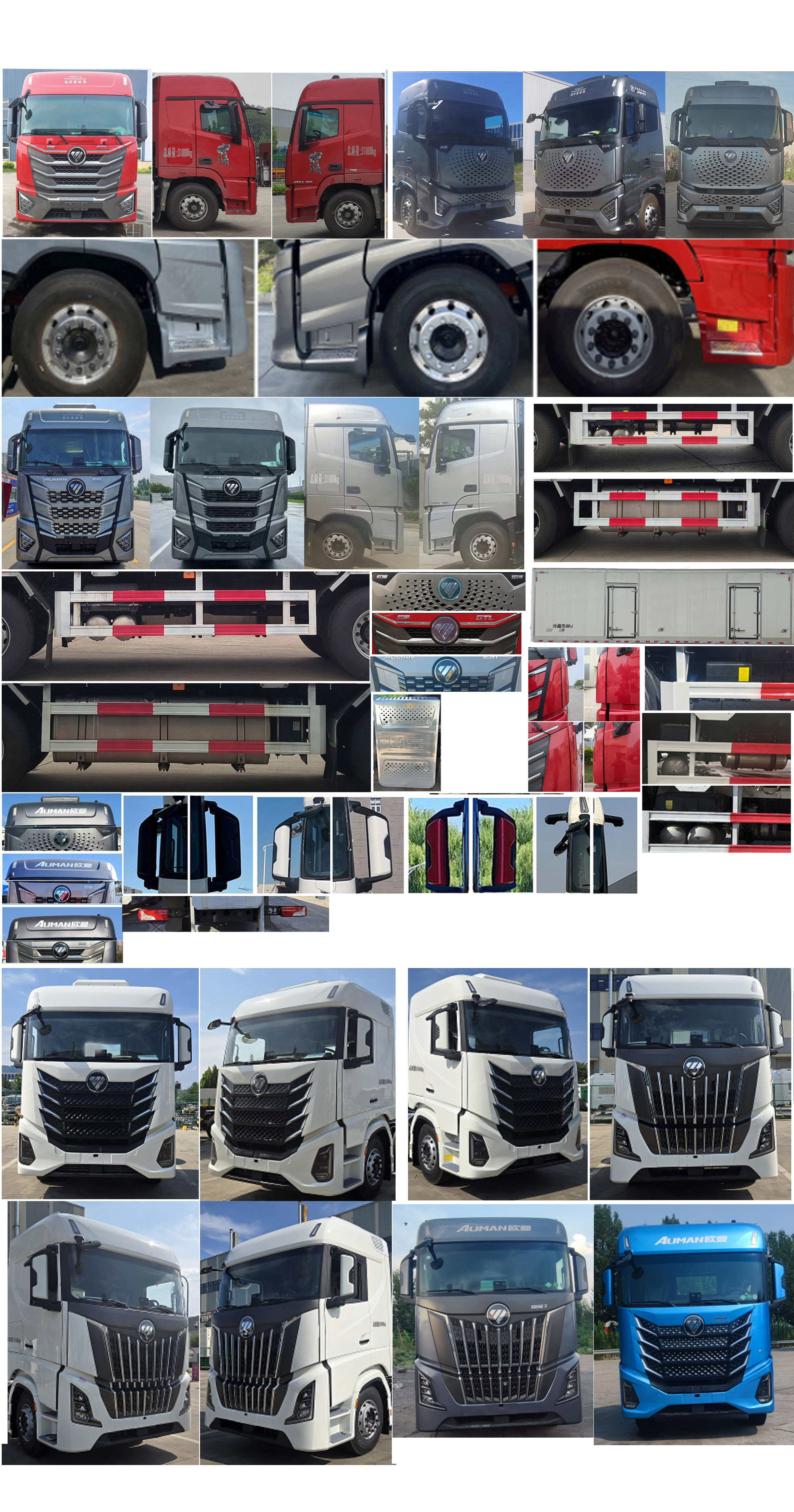 歐曼牌BJ5319XLCY6GRL-09冷藏車(chē)公告圖片