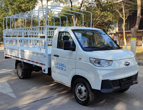 開(kāi)瑞牌SQR5032CCYBEVH31純電動(dòng)倉(cāng)柵式運(yùn)輸車(chē)公告圖片